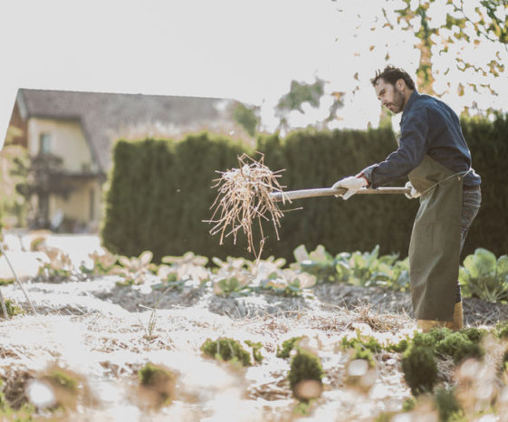 28508667 - man working on a synergistic vegetable garden 28508667 - man working on a synergistic vegetable garden
